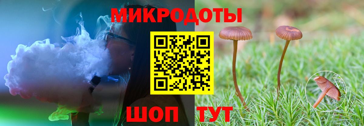 Галлюциногенные грибы мухоморы Партизанск